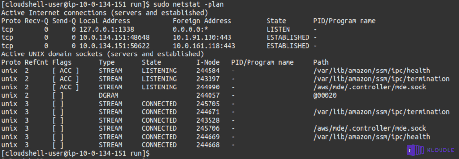 netstat output