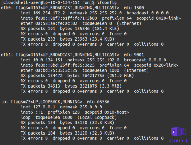 container ifconfig