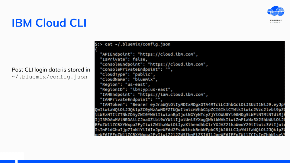 bluemix config.json