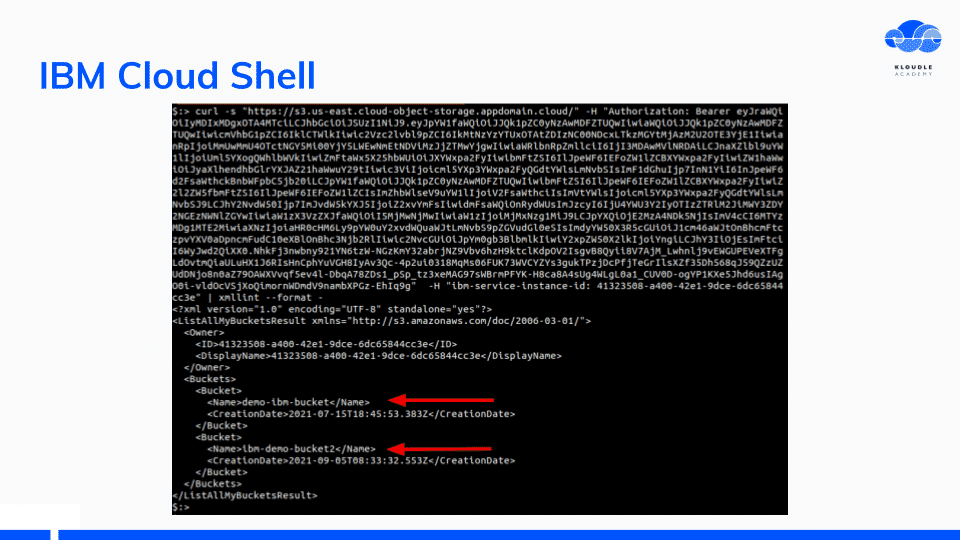 requests to IBM API endpoints