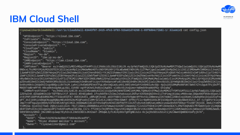 Bluemix config json