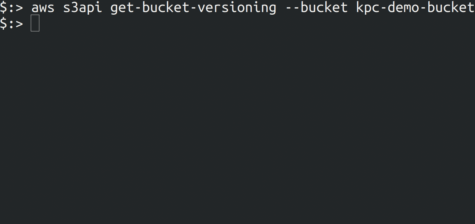 check bucket versioning status