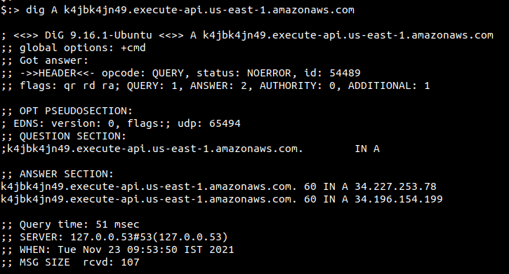 dig command for ip address