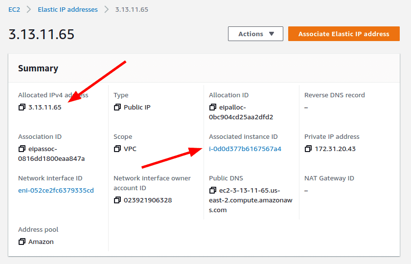 how to get public ip address of ec2 instance