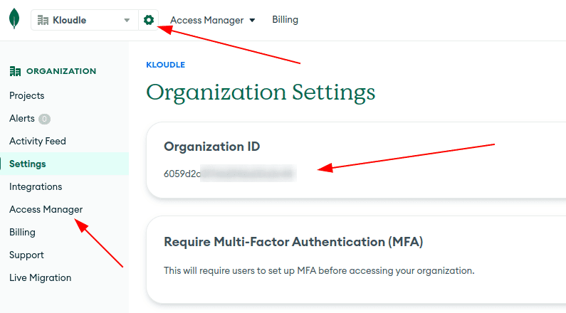 MongoDB organization settings
