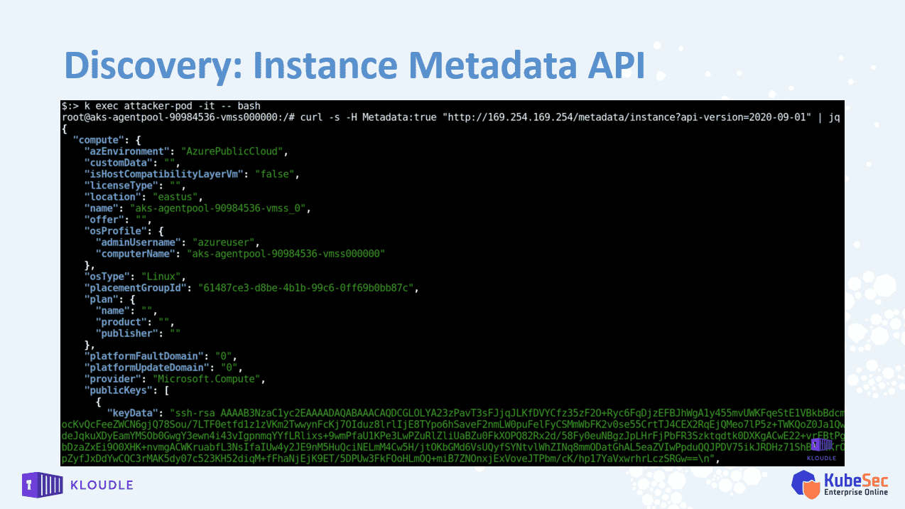 discovery instance metadata endpoint